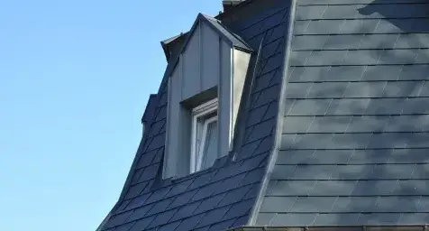toiture démoussage Saint Sébastien sur Loire-1